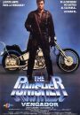 The Punisher (Vengador)